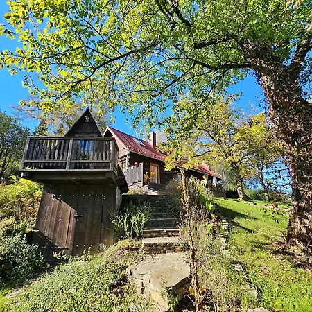 Pod Wysokim Niebem *