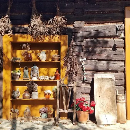 Pod Wysokim Niebem Hébergement de vacances *