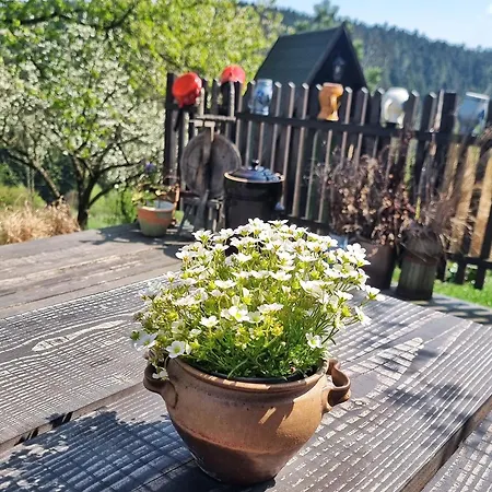 Hébergement de vacances Pod Wysokim Niebem Wysokie